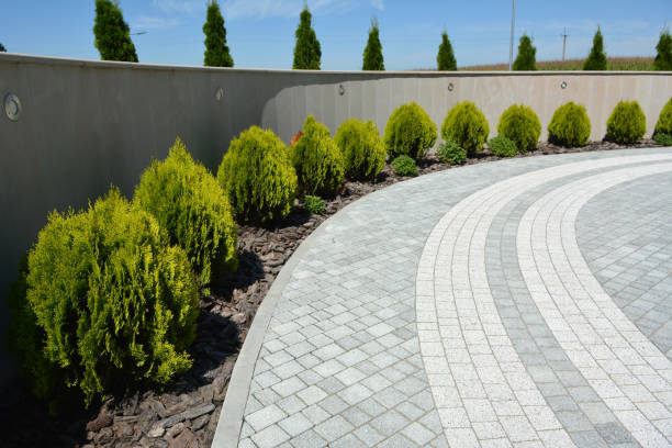 Best Driveway Resurfacing Services in Blue Mound, IL